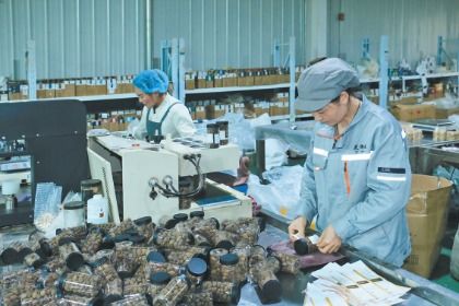 岷縣電商訂單生產忙，互聯網銷售開辟致富新路