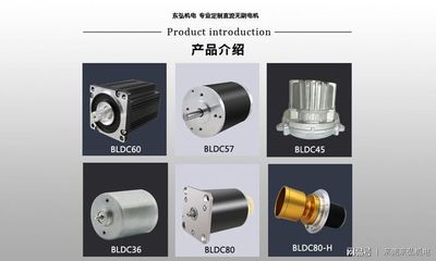 無(wú)刷電機(jī)生產(chǎn)廠家的實(shí)力介紹
